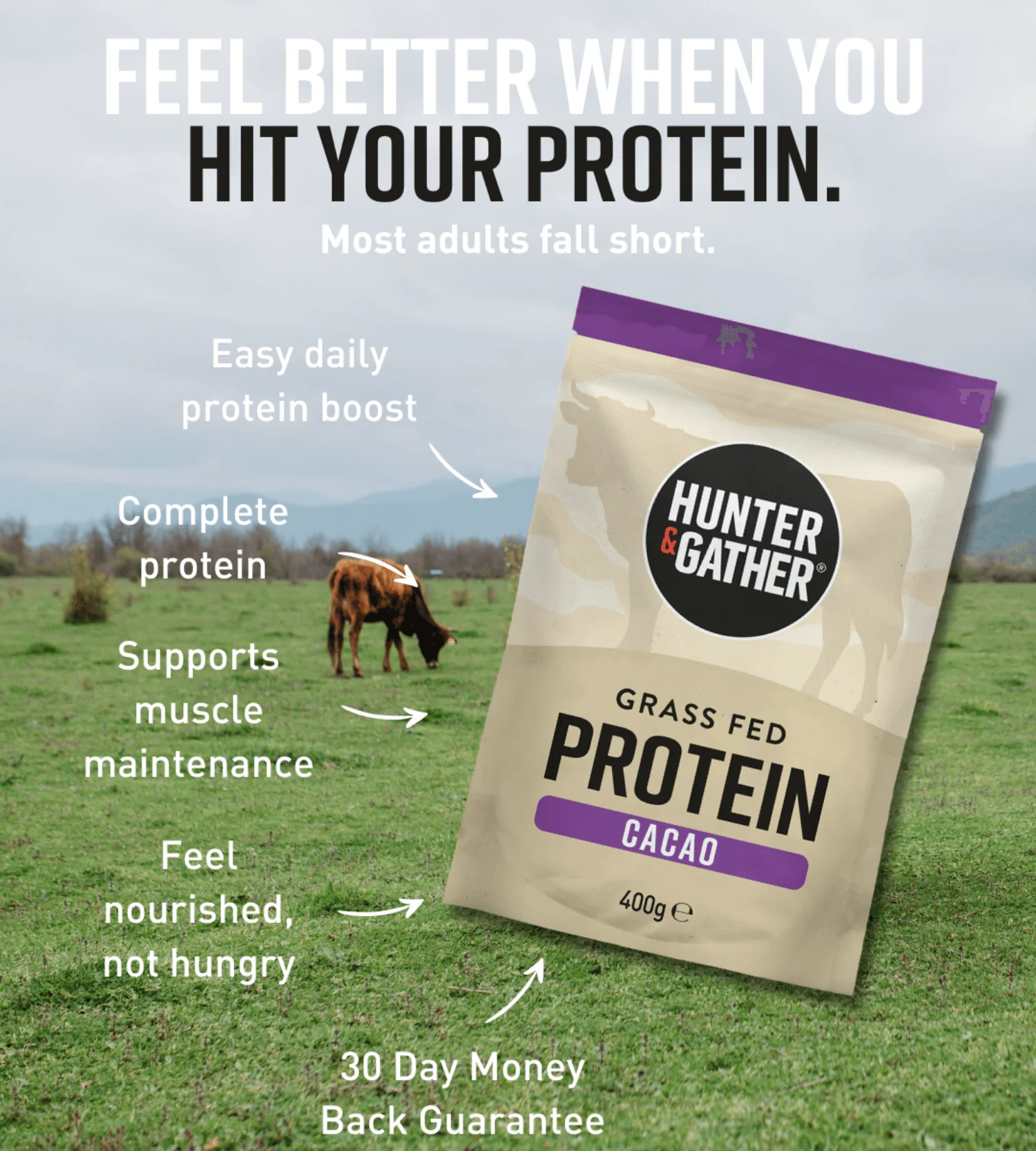 Cacao Grass Fed Beef Protein Powder - Image 5