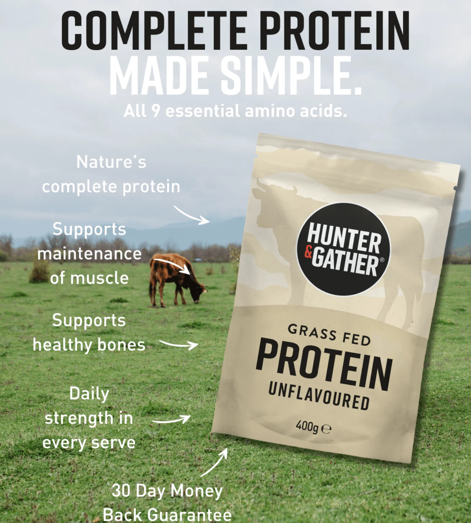 Grass Fed Beef Protein Powder - Image 16
