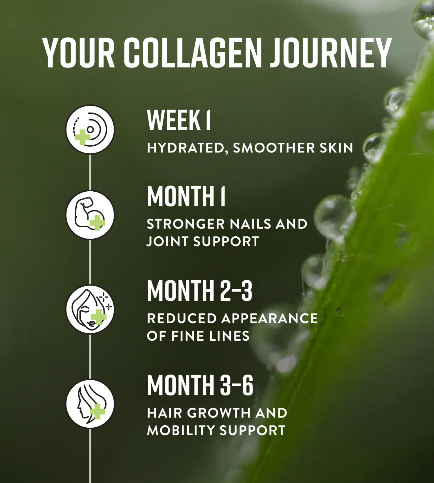 Collagen Powder - Image 6
